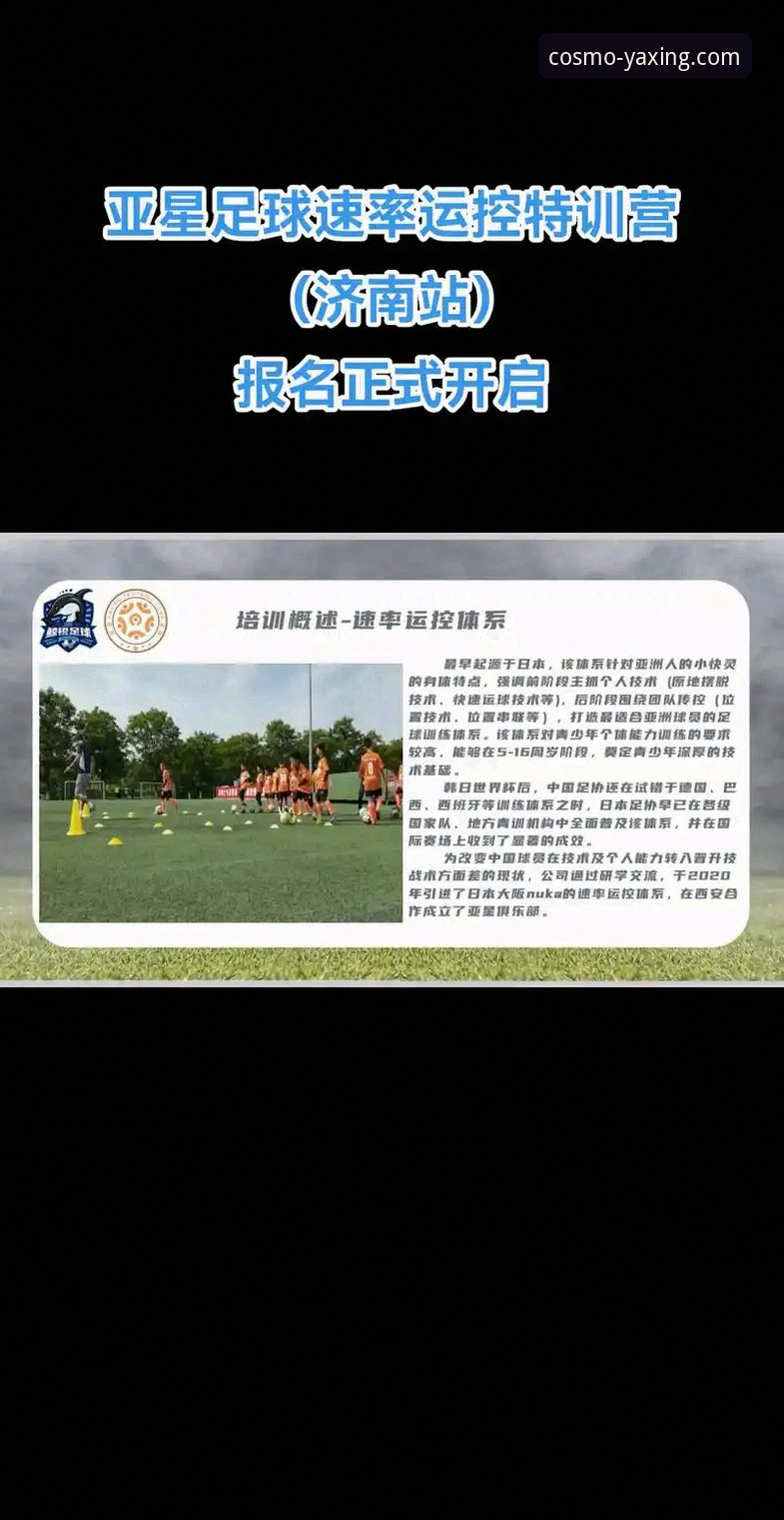 亚星体育平台全方位实用指南：从官网入口到App深度评测